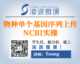 物种单个基因序列上传NCBI