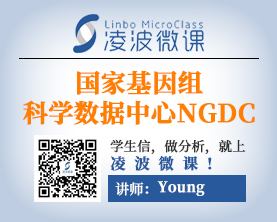 数据库的那些事儿