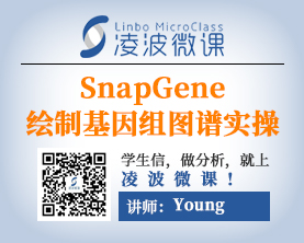 SnapGene带你自定义绘制小基因组图谱