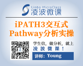 带你轻松搞定宏组学iPATH交互式Pathway分析