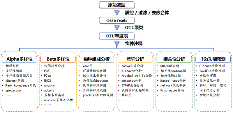 扩增子测序.jpg