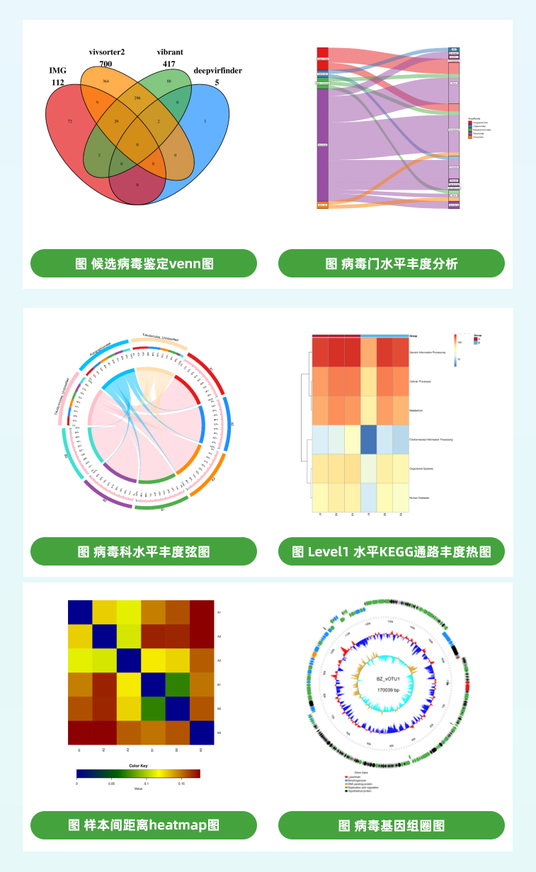 图片2png.jpg