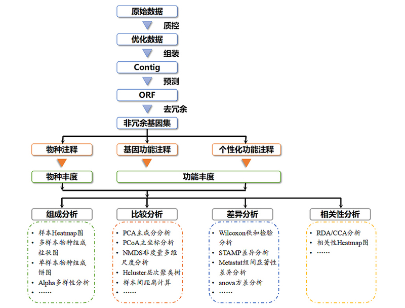 2（改）宏基因组测序.jpg