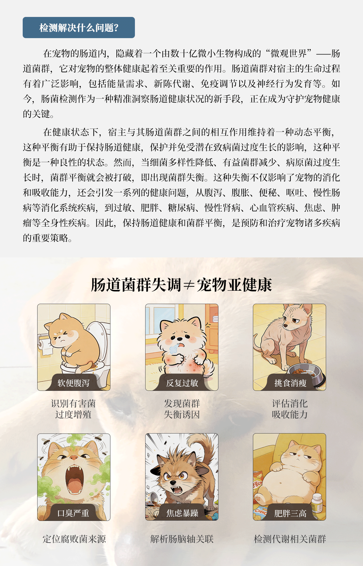 宠物微生态检测_02.gif