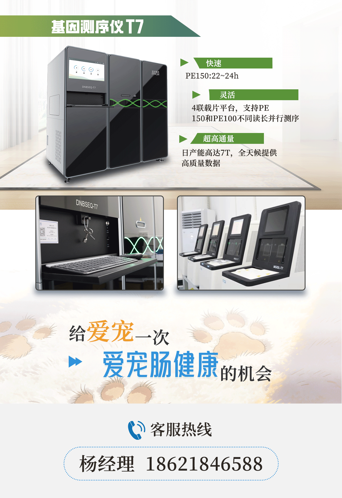 宠物微生态检测_05.gif