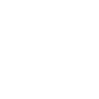 凌恩黑色logo.gif