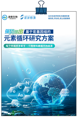 宏基因组元素循环分析