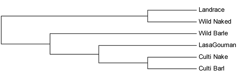 全基因组重测序案例2.png