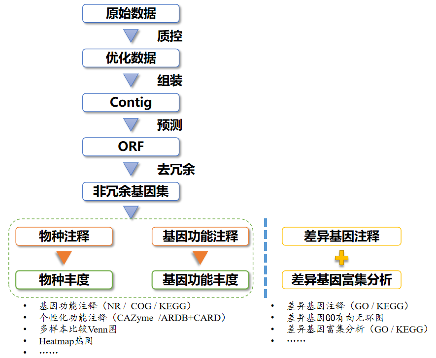 宏转录组差异表达测序