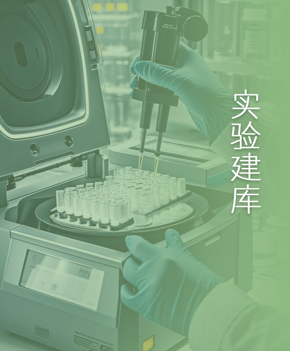 科技服务