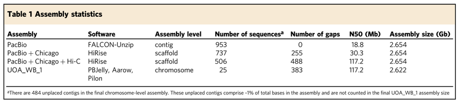 染色体级别基因组组装Hi-C建库6.png