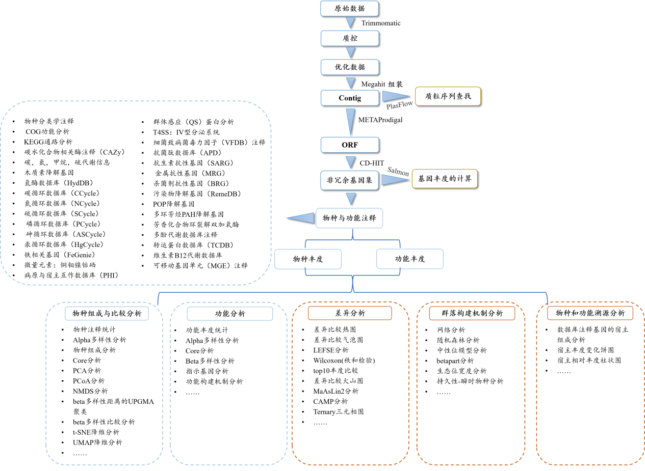 宏基因组流程.png
