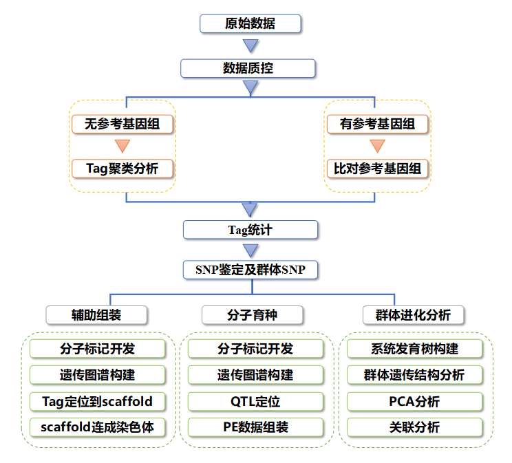 RAD文库构建技术流程.png