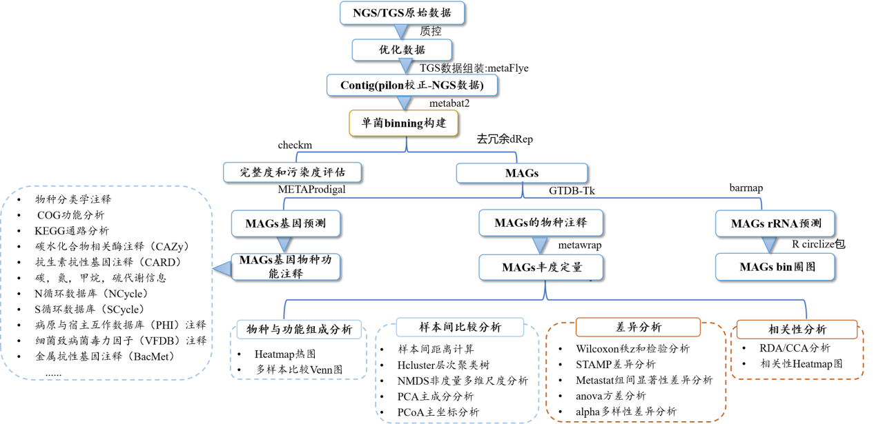 三代宏基因组.png