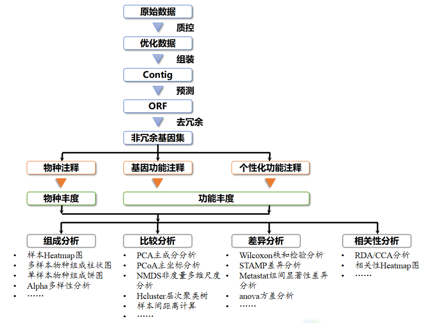 分析流程