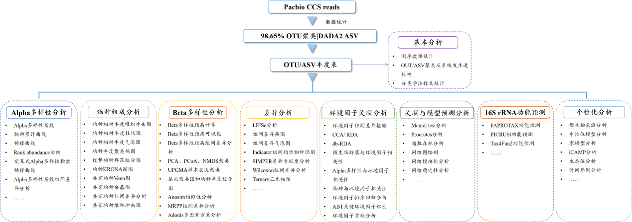 三代全长扩增子流程图.png