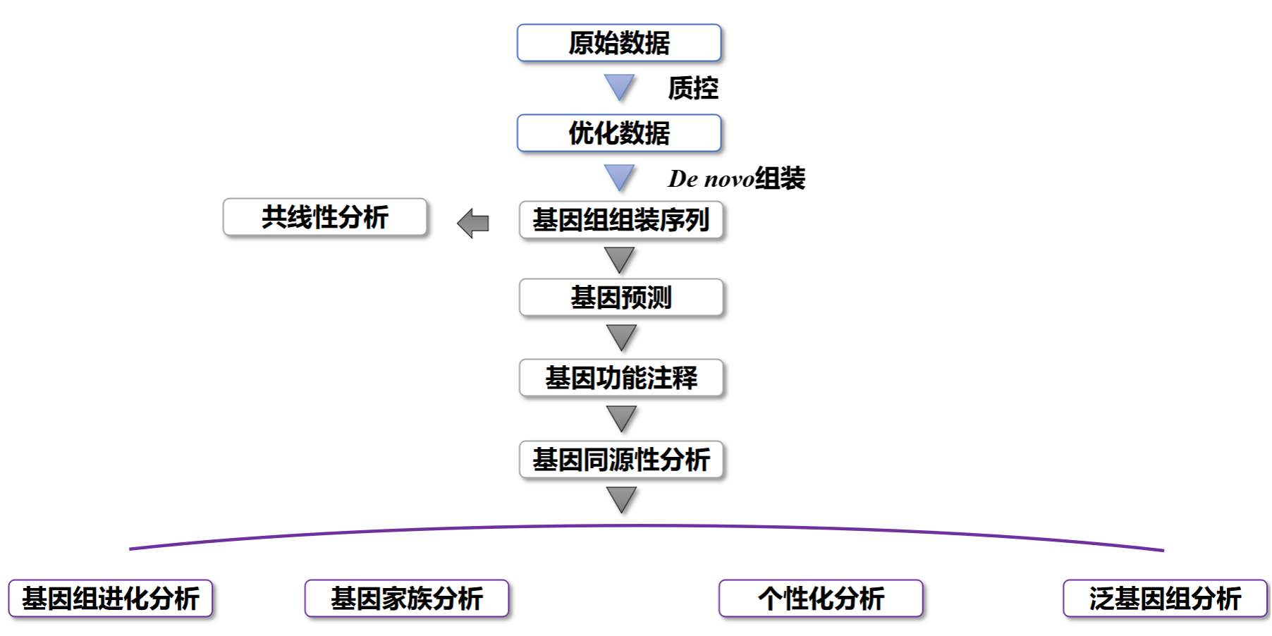 细菌基因组测序